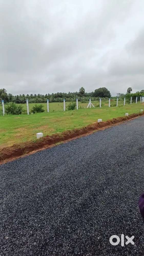 Low budget Dtcp land sale in Kinathukadav near Akshya college