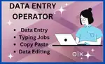 Data entry operator job