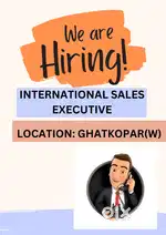 International Sales Executive