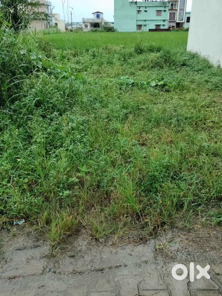 Plot 508 square feet near doctor suresh