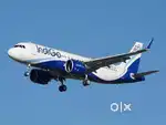 Required for Male and female candidates for indigo airlines jobs