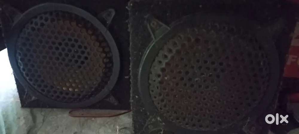 Woofer 8 inch