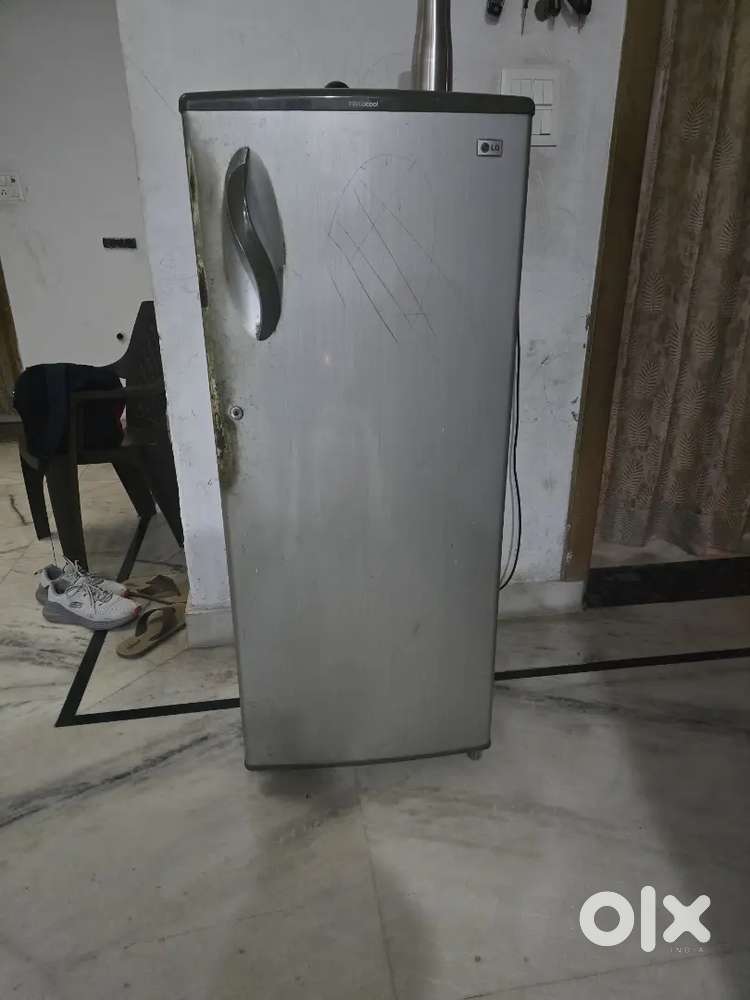 Lg friege.