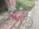 Ladies Cycle Sell