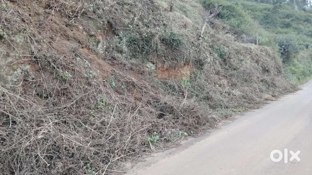 Ooty , Rs. 62.5 lakhs, 25 cents, Road side property