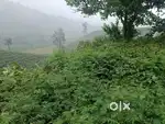 13 Cent Land & old 2 bhk house for sale 1vagamon