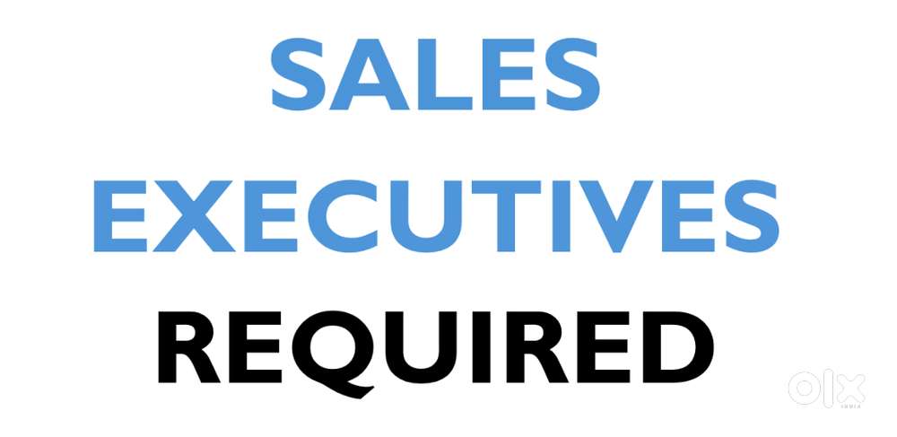 B2B Sales Executives Required
