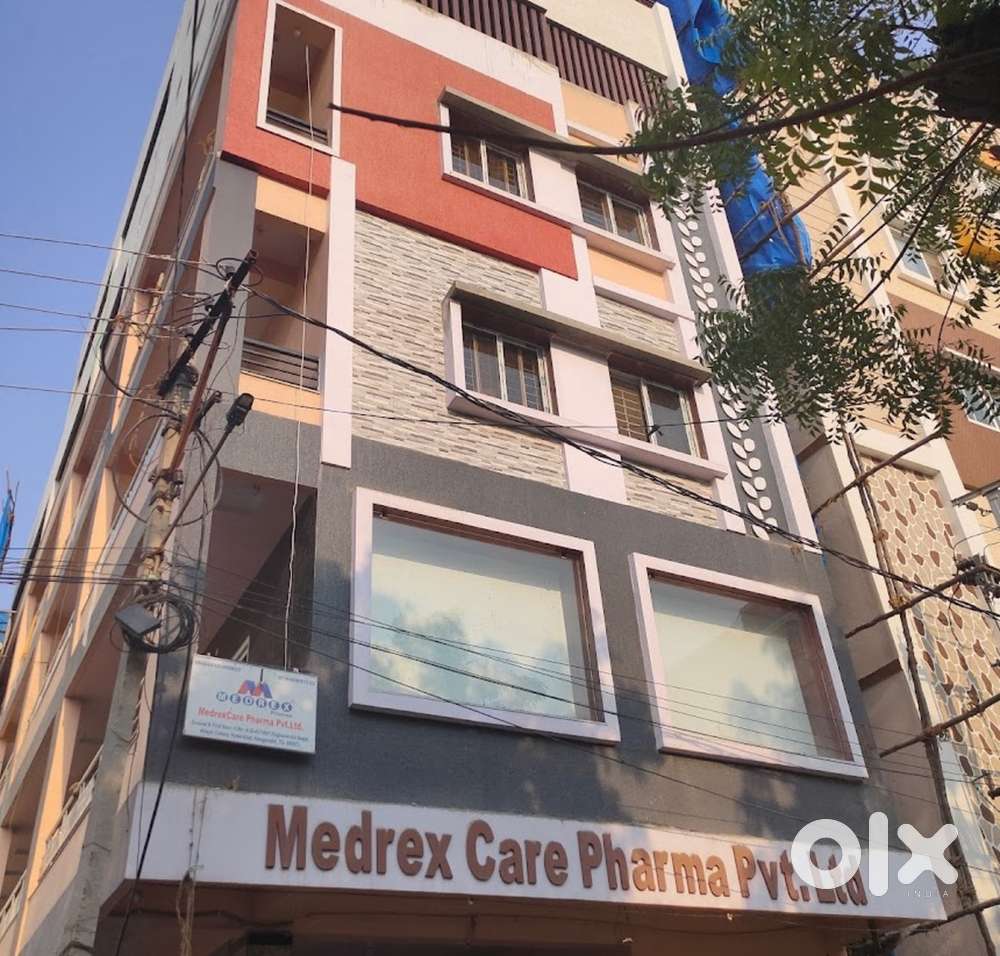 Female Marketing Executive(inside office )