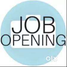 WANTED BANK LOAN RECOVERY FIELD MALE EXECUTIVE