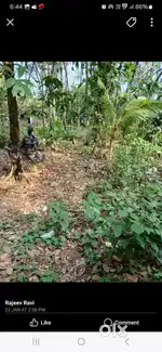 Square plot For sale in thrissur  for more details contact