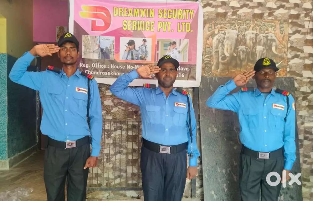 Dreamwin security services Pvt Ltd