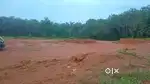 5 acar original land for sale kakkanad pallikkara pazhamthottom