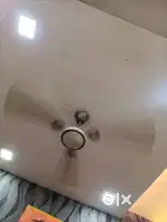 Havells Fans. પંખા.