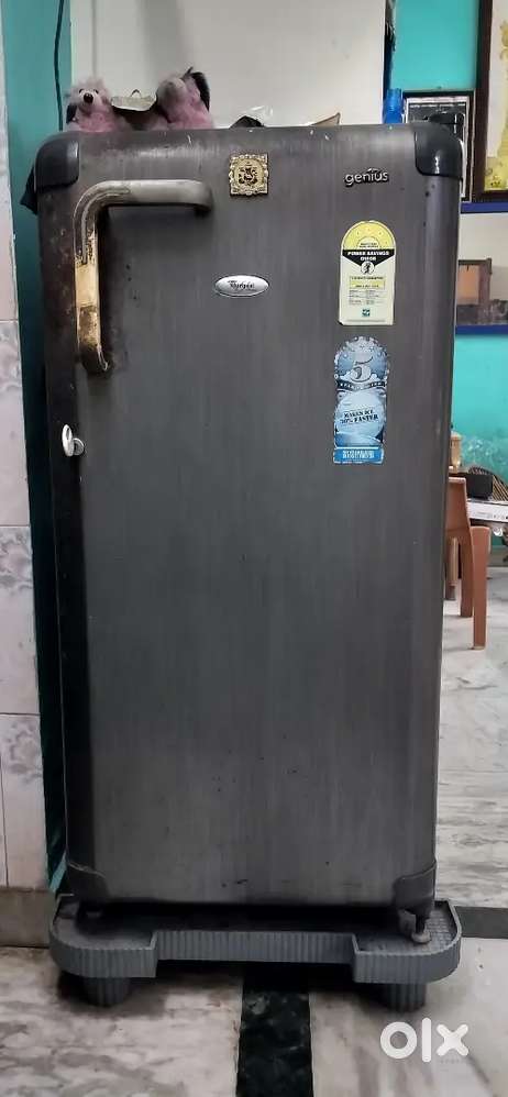 Urgent sold due to shipment of kerala