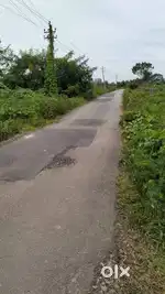 3.5 Acre Agricultural Land with Poultry Farm – Chikkamagaluru