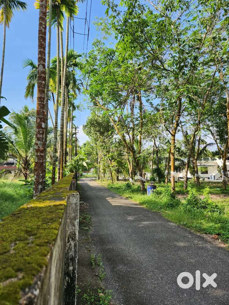 20 cent housing plot for sale near Malumel Temple, Karunagappally