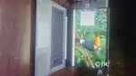 Lenovo laptop