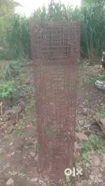 कांदा जाळी 6 by 12 feet