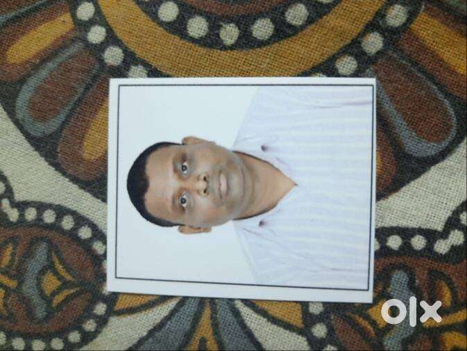 Customer Support Executive Non Voice