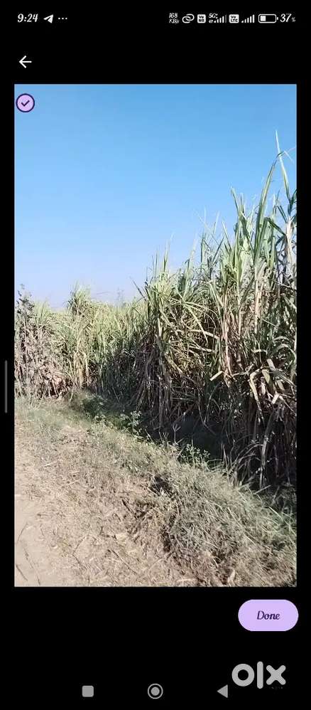 This land pharming and companies School and use