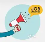 Tele calling, office assistant, team leader, documents handling