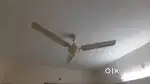 Ceiling Fans For sale