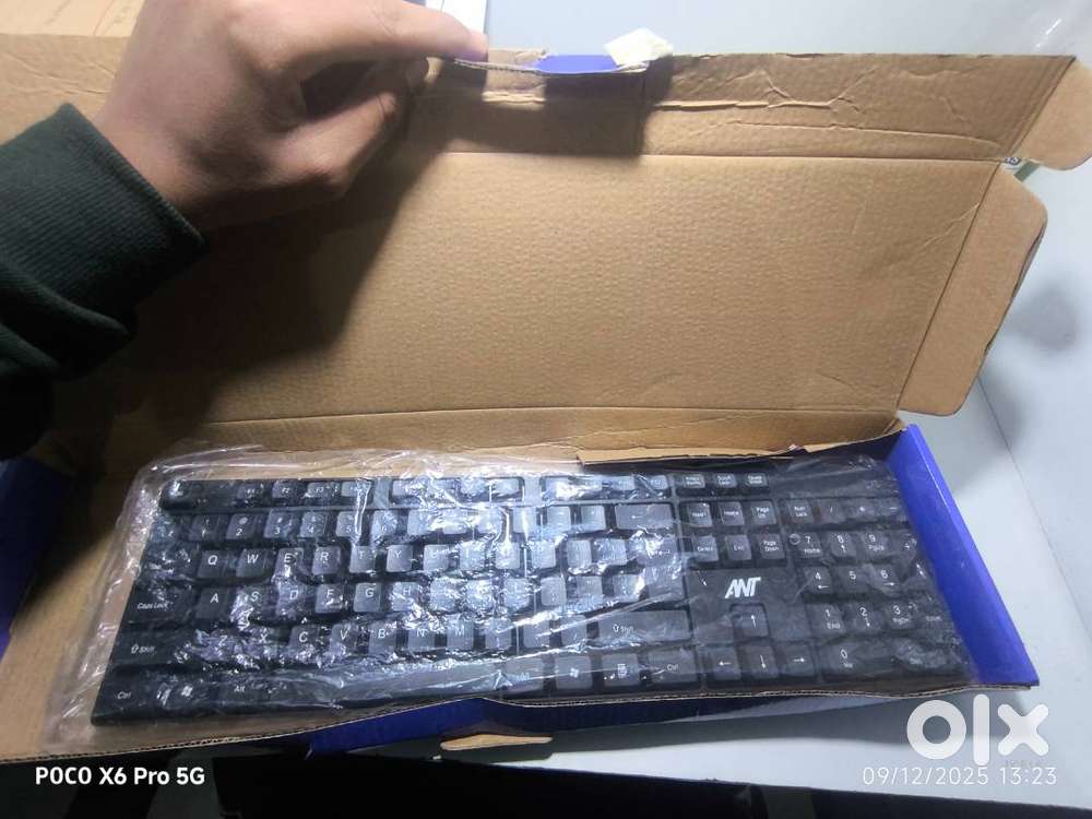 FkBRi02--2 months old