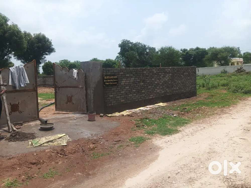 Farm house navodaya school ke saamne road se 850 miter andar