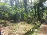 7 Cent Commercial Land For Sale at Pallikulam, Kannur (ml)