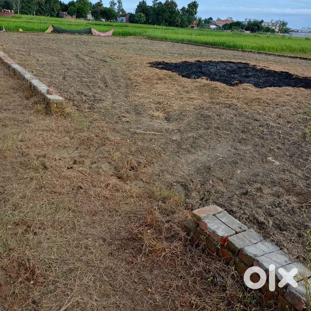 बस्ती में कचहरी से कुछ दूरी पर प्लाट ले652