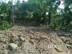 Land for sale in bethuadahari nadia বেথুয়াডহরি জমি বিক্রি