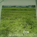 Commercial land