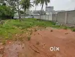 4 CENT HOUSE PLOT CHEPPANAM ,BUSROOT 100MTR