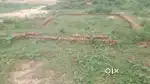 100 gaj corner plot avilable for sale in badalpur nh91