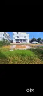 Sale of plot at nellore bv nagar