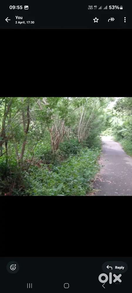 14 cents Residential converted land 1 km from NH66