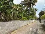 8 cent house plot ( land ) for sale Kalamassery Rajagiri School