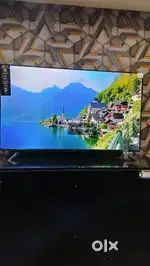 55 in 4K LG WEB OS MAGIC remote wholesale price