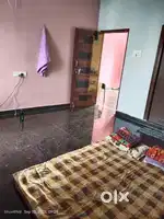 Need female roomate