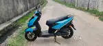 TN73  _  9 Months old N-Totq for sale