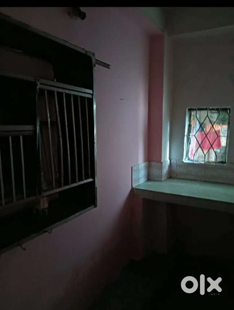 Lila palace (apu medhi)