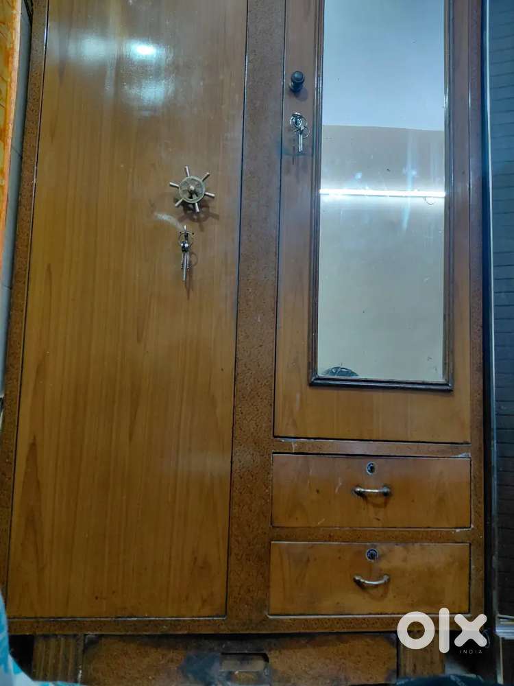 14 yrs old loha Almira in good condition