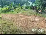 മാന്തിരുത്തി നെടുംകുന്നം റൂട്ടിൽ 5 സെൻറ് വില്പനക്ക്