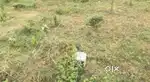 Urgent north facing site for sale in Harihar
