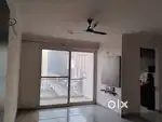 New property