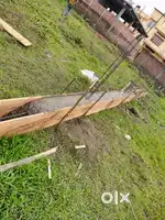 Land sale in Tezpur  near by misson chariali