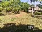 Narakathany Ezhumtoor Road Road Side