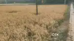 Land on Highway