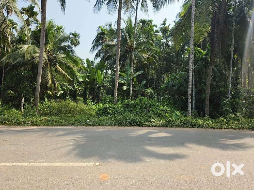 Plot for biuldng house