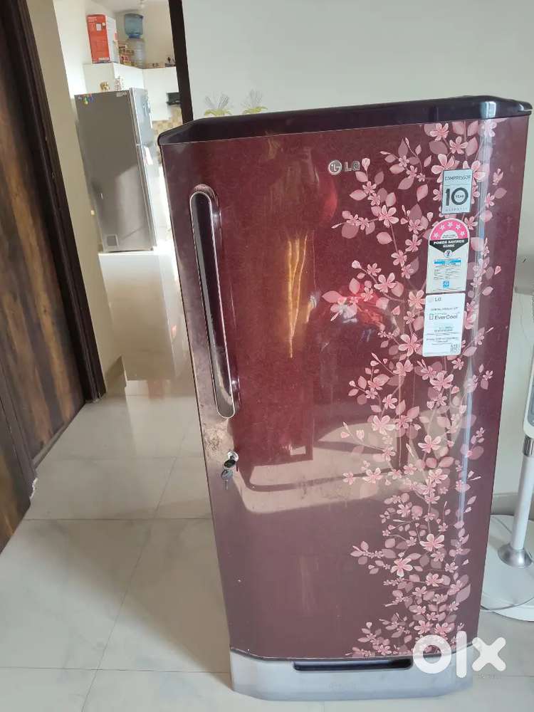 Fridge LG with Floral Design